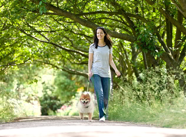walking dog.jpg