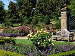 Connect-Botanic Garden