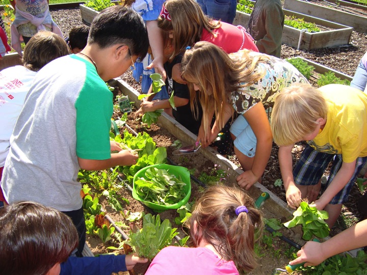 Plant the Seed for a Longer Life