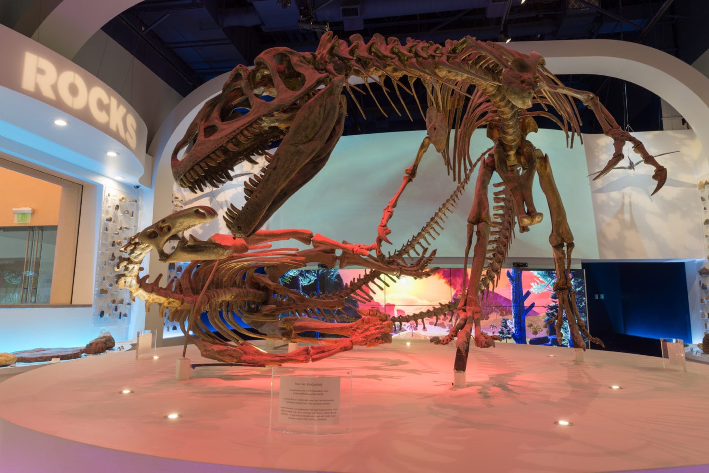 Museum-of-Science-and-History