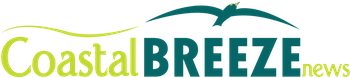 cbn-no-shadow-logo