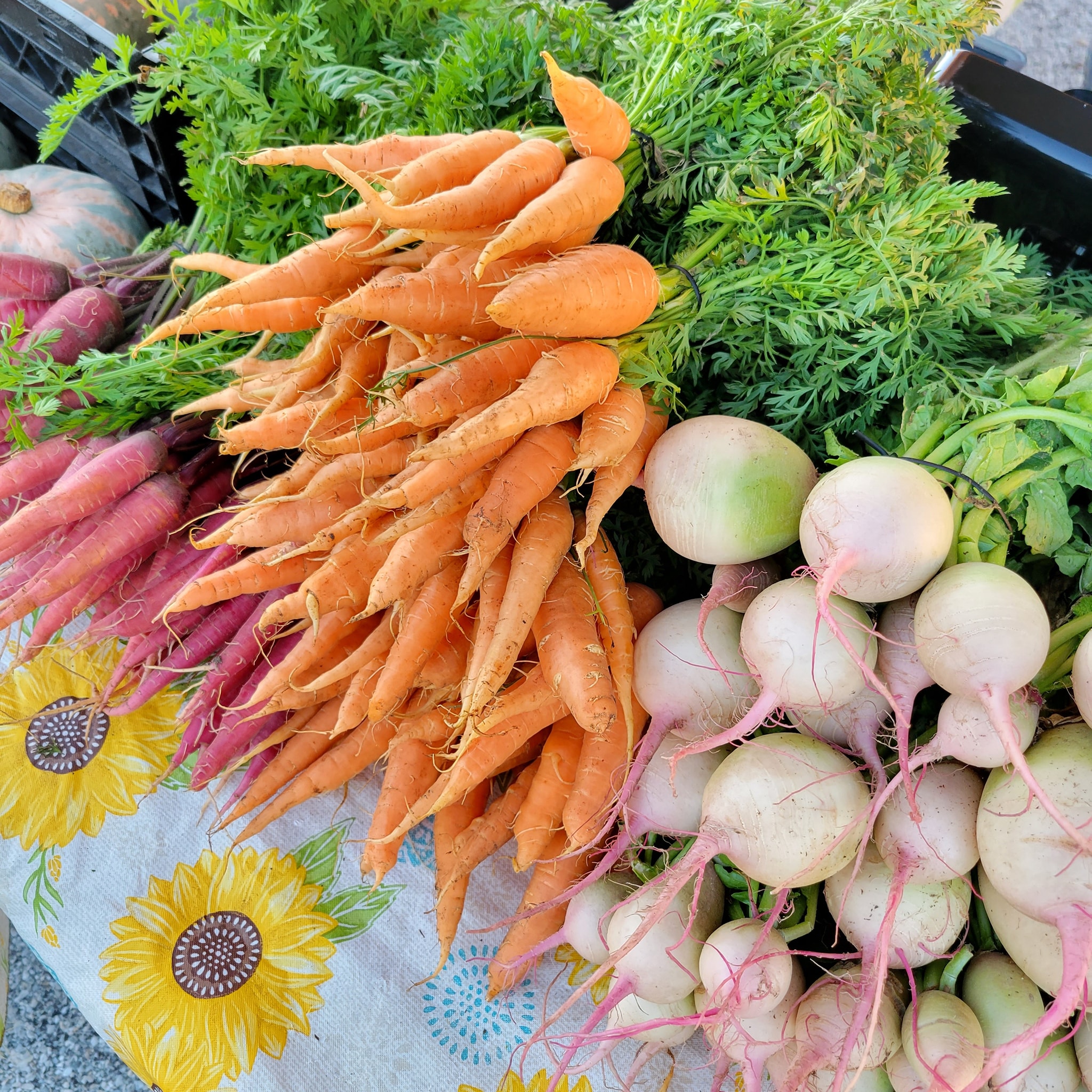 Welcome Fall, Welcome Fall produce!