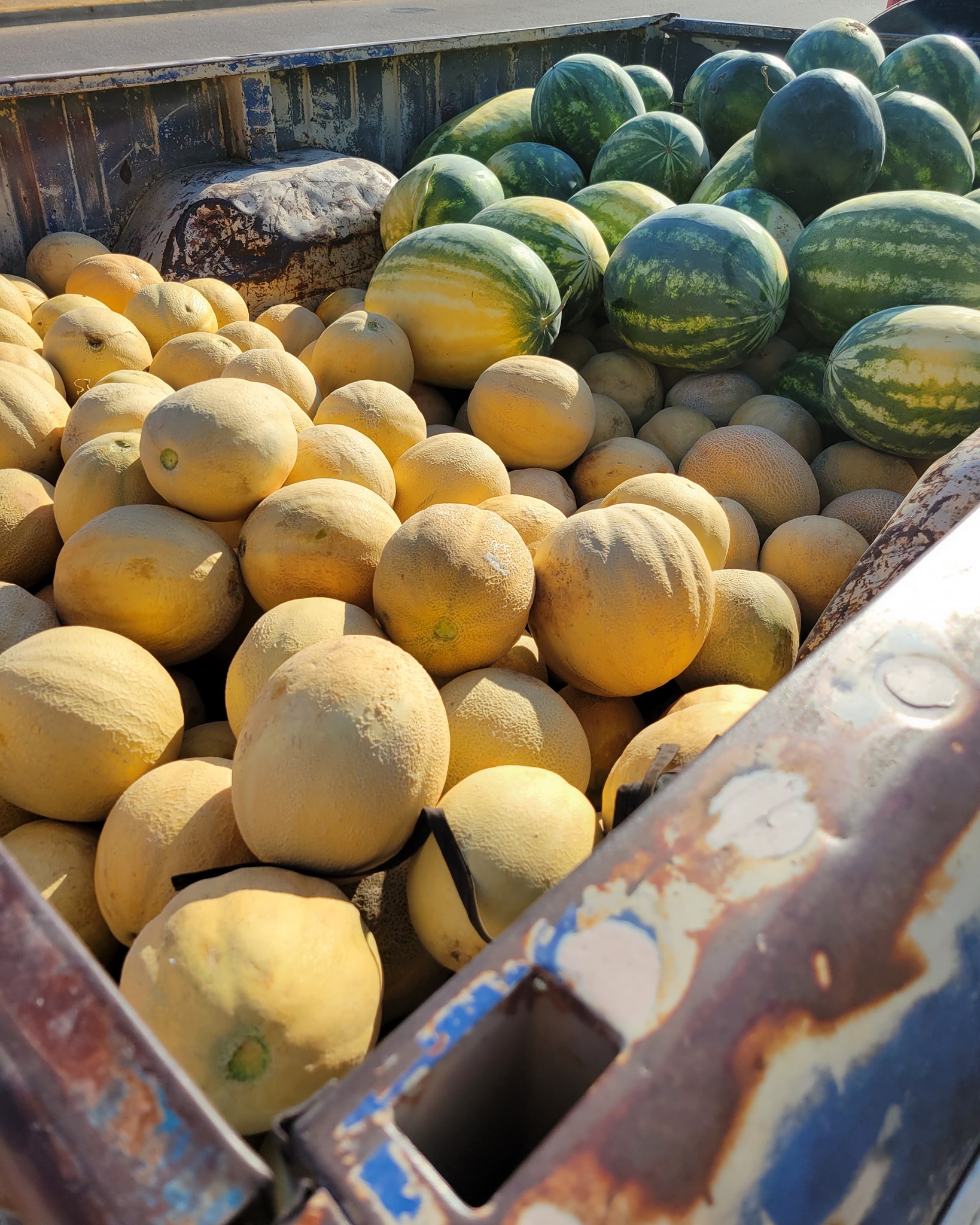 A Melon Reasons to Love Summer