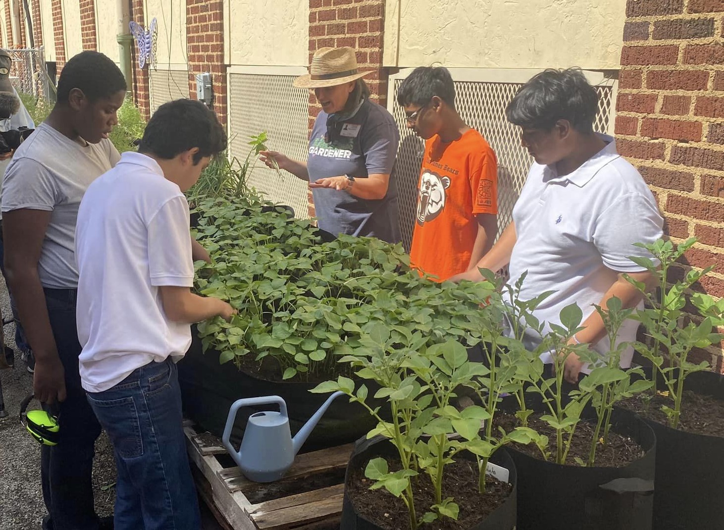 Learning Gardens Help Students Grow In and Out of the Classroom
